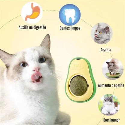 Catnip Para Gatos Juguete