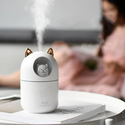 Humidificador de Gato